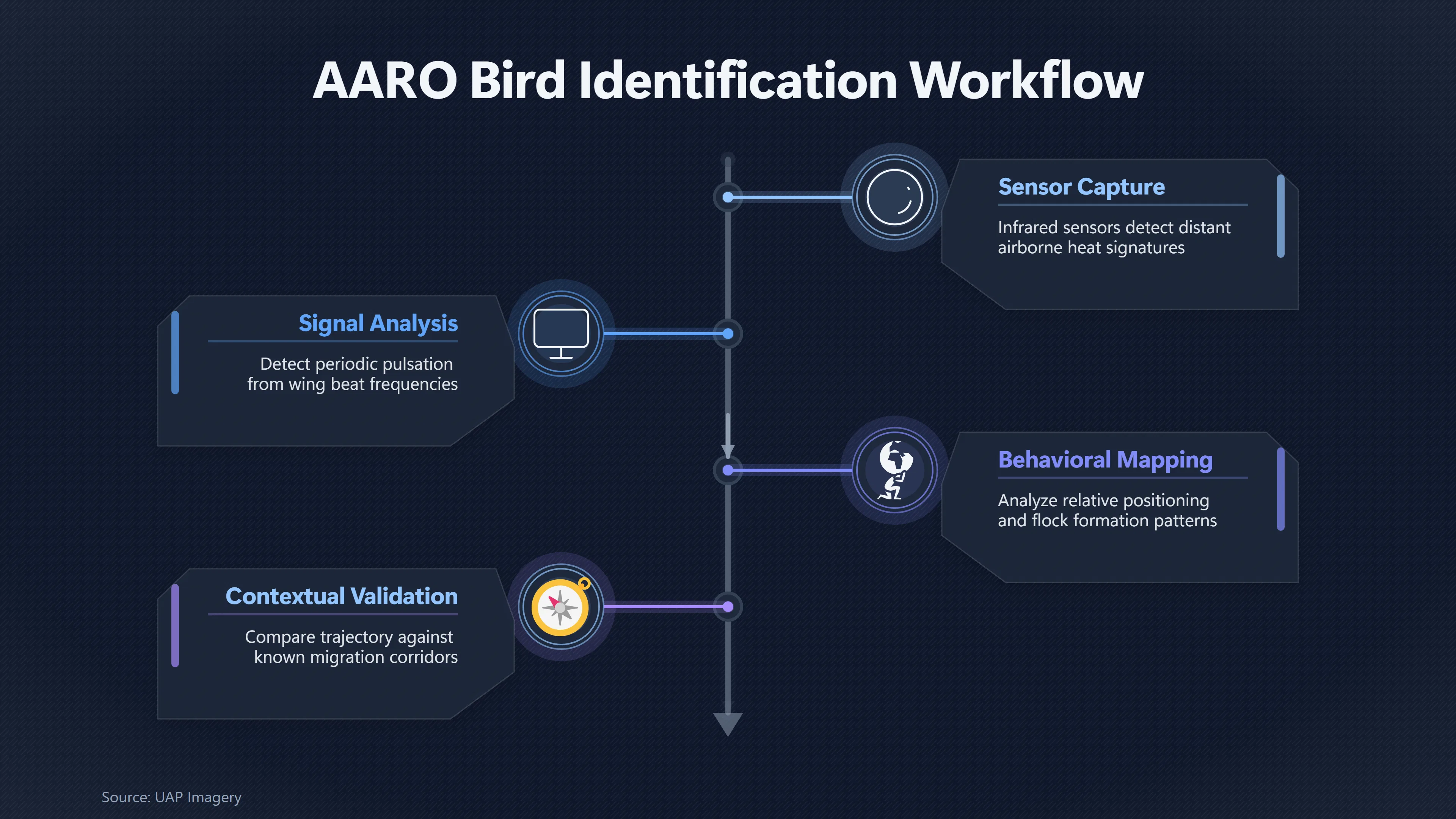Overview image for Why birds can look bizarre on infrared cameras | AARO Results