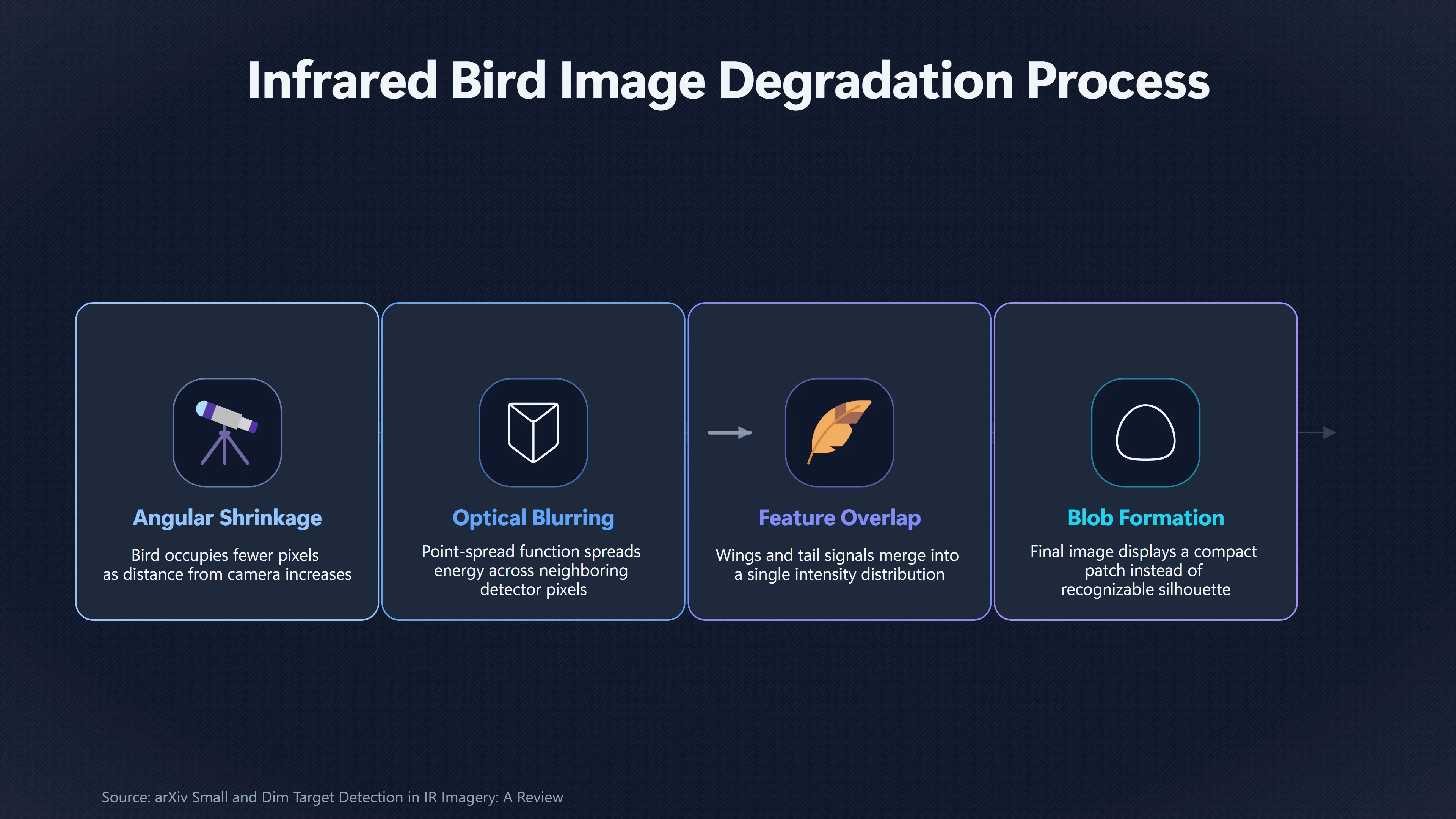 Overview image for Why Can a Bird Look Like an Orb? | Birds