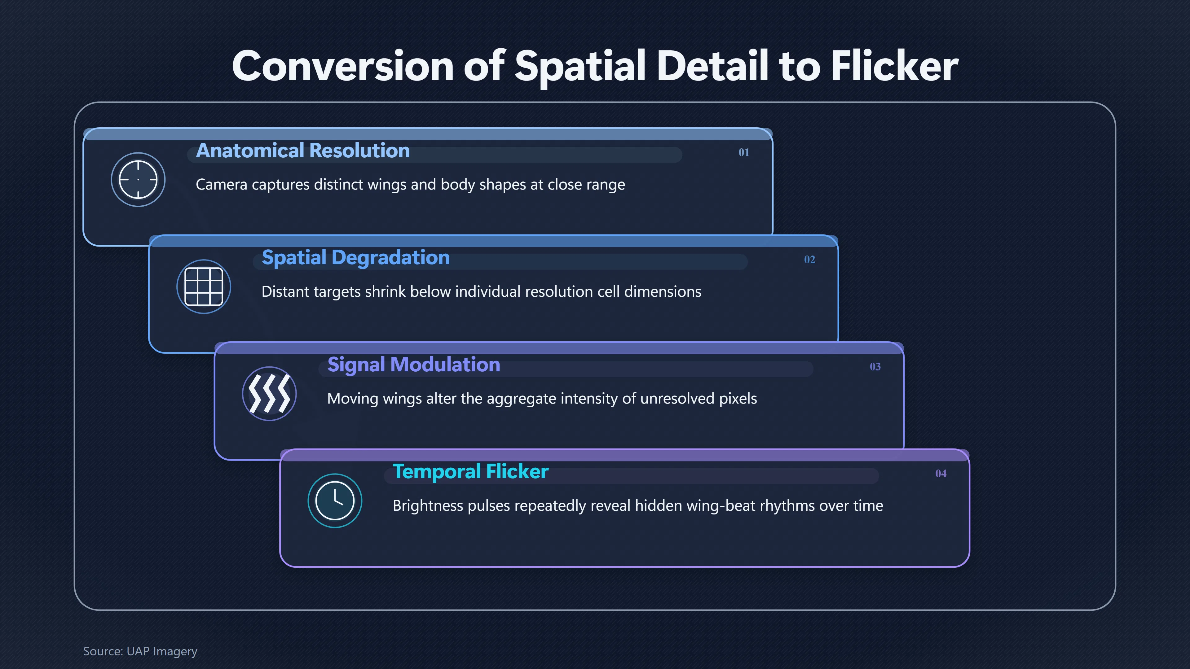 Overview image for When Invisible Wings Still Leave a Signal | Birds