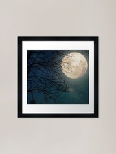 Listing image for Full Moon Night Sky Framed Art Prin Framed Wall Art Poster Canvas Print Picture