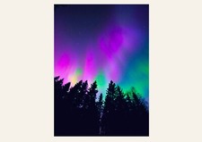 Listing image for Northern Lights Portrait Fine Art Print